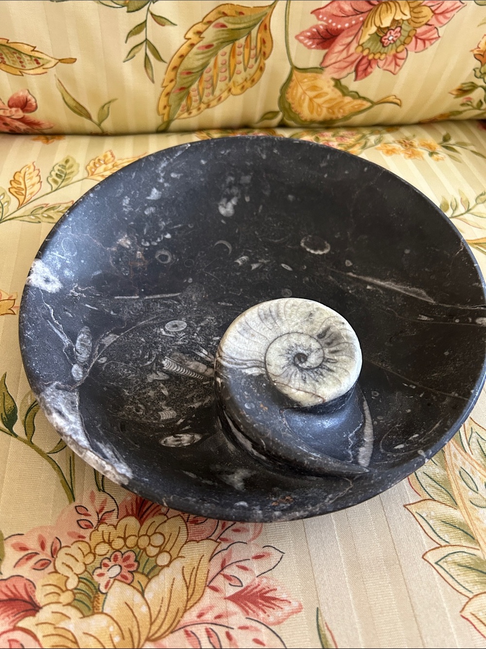 Ammonite Fossil Dish